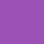 パープルプラム(Purple Plum)